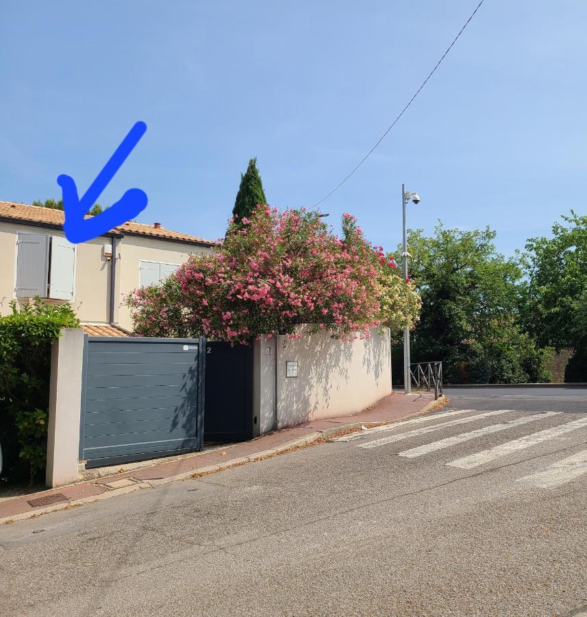 Chez Nous Dans Notre Petit Jardin Apartment Montpellier Luaran gambar