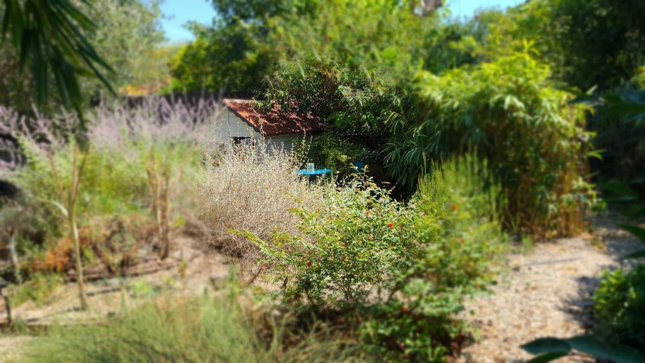 Chez Nous Dans Notre Petit Jardin Apartment Montpellier Luaran gambar